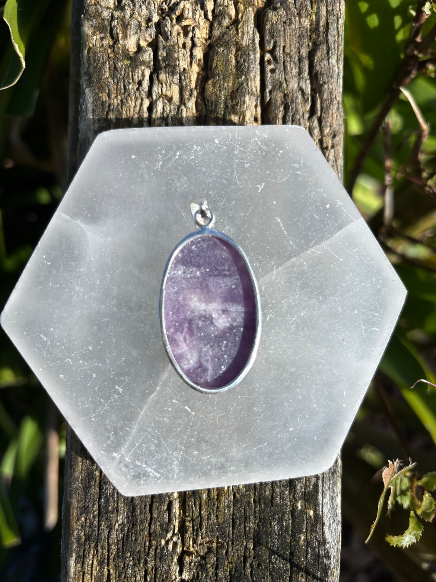 Hot Wheels Mainline / Ford RS200/ 2025 Peak Pursuit 9/10